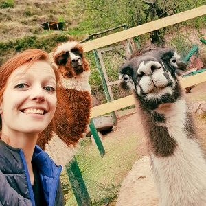 Participant Lisa with alpacas in the project